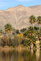 Agua Caliente Park, Tucson
