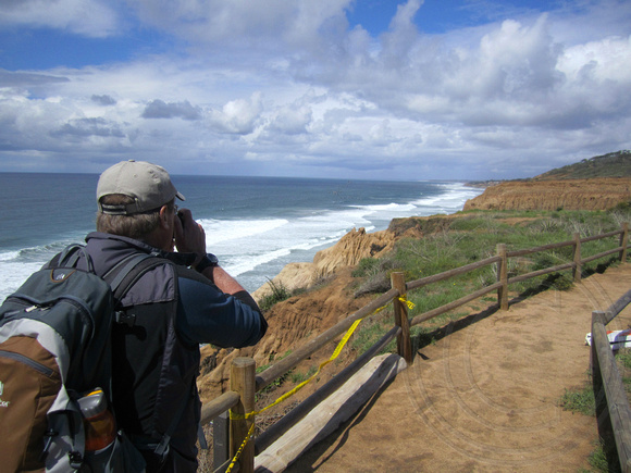 getting ready to photograph one of the many squadrons of Brown Pelican flying south along the shoreline