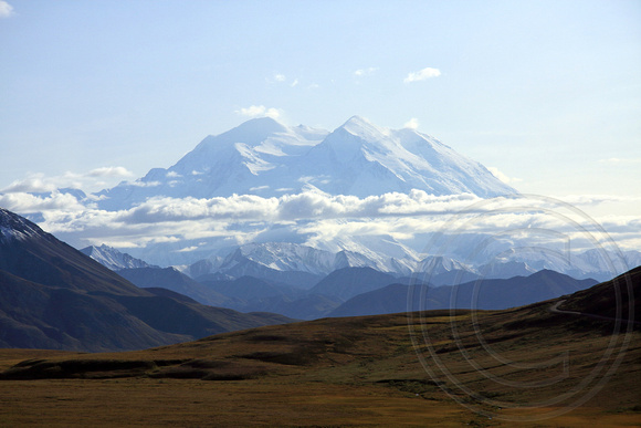Magnificent evening view of Denali (Mt. McKinley) *note small relative size of park road on far right