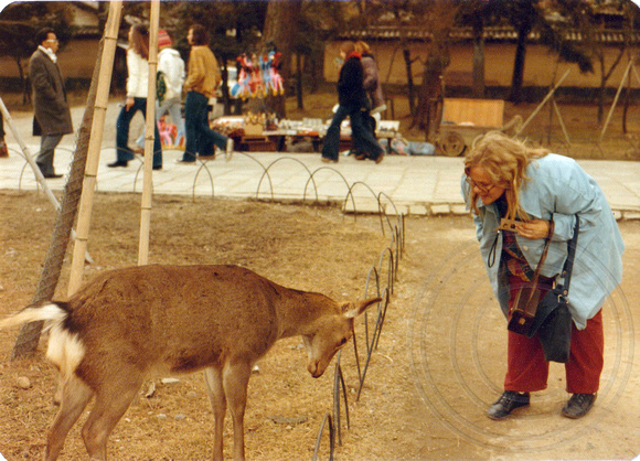 Robbie bowing to the deer in Nara, Japan