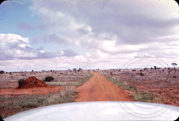 Safari  Tsavo termite mound