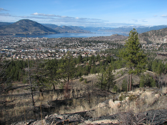view of Penticton from Wiltse Flats