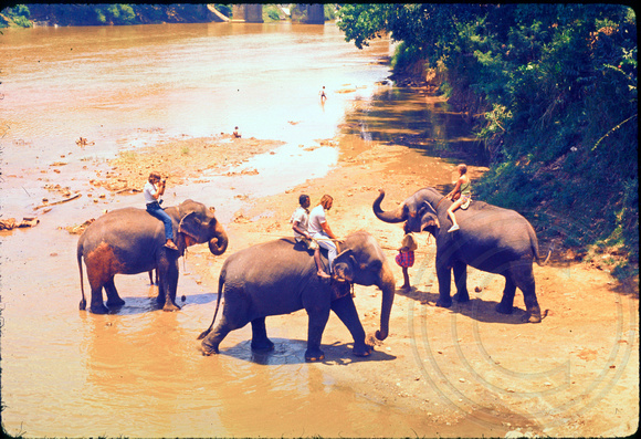 Rick riding elephant in Sri Lanka