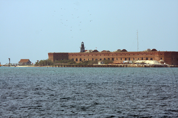 first view of the fort from the ferry, note the "swarm" of birds above