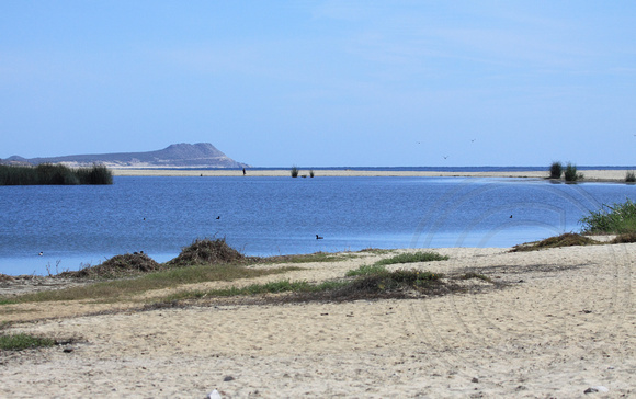 beach in front of El Presidente resort and El Estero