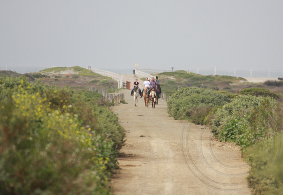 horseback riders at Border Field State Park