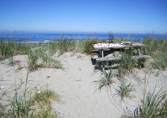 Picnic Table on the beach