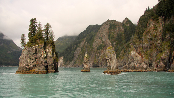 Kenai Fjords, somewhere near the Chiswell Islands